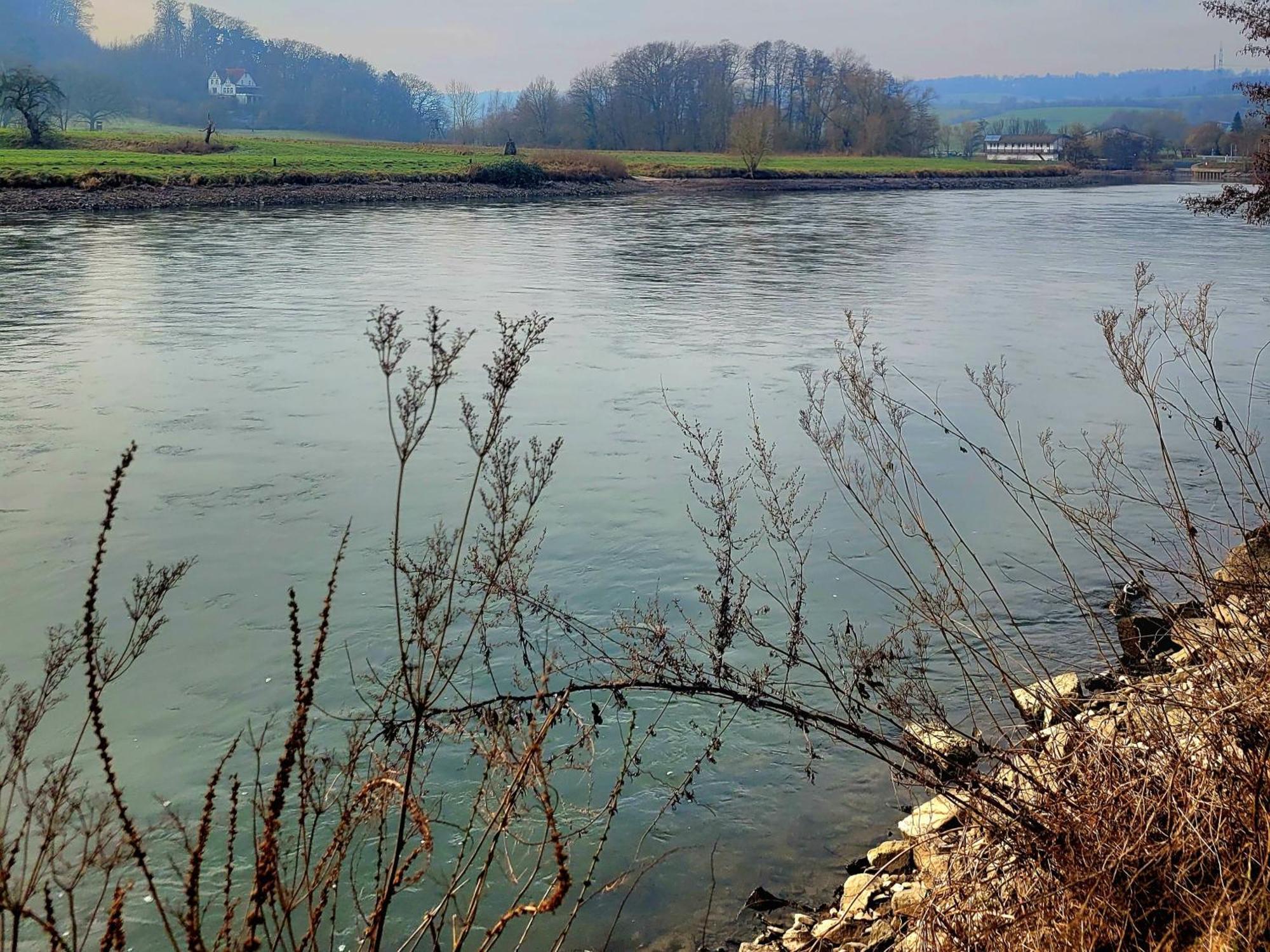 Am Rehwinkel * Fuldatal