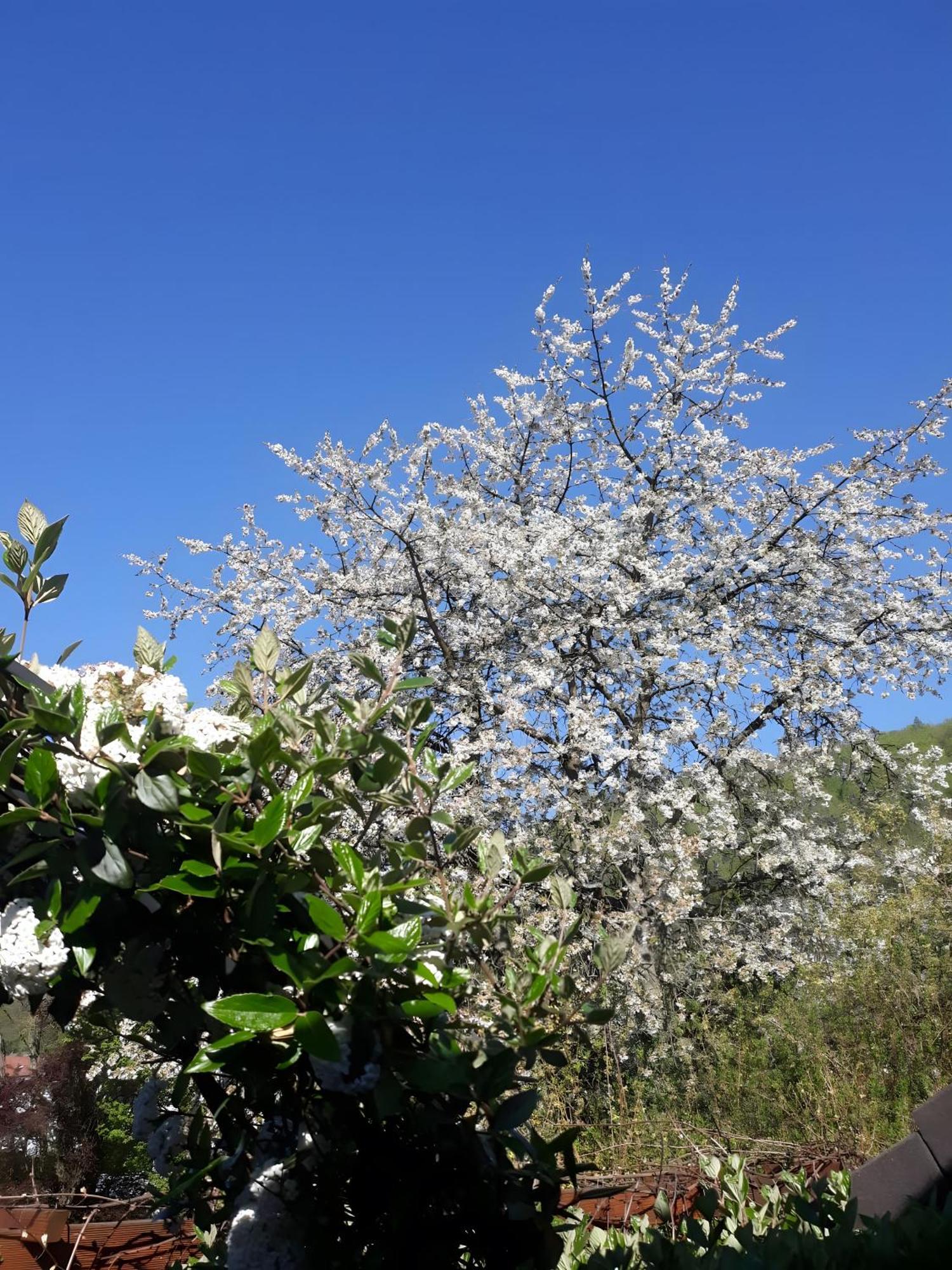 Am Rehwinkel Fuldatal
